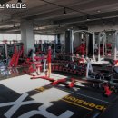 얼라이브 피트니스 이미지