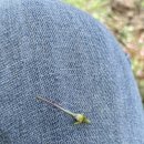 대수풀농장 이미지