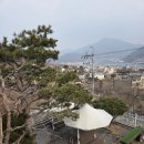 멍멍s