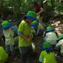 광판초병설유치원 이미지