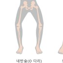 언니네필라테스마산