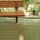 그늘막129 이미지