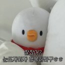디바브로우 이미지