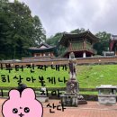 오징어나라(단관점) | [여름휴가 후기] 2023년 하계 휴정기 휴가