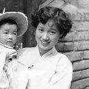 성북경찰서 이미지