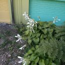 외암초등학교 이미지