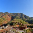 광산김씨 전리판서공파>부사공파 창녕 한골 대종 산소