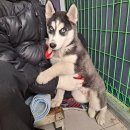 남구-166 이미지