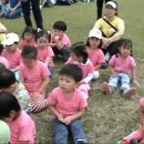 홍성군 어린이 한마당 대잔치 이미지