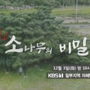 소나무기획 이미지