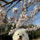 하단동1207 이미지