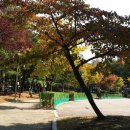 석천공원 티스토리