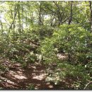 불당골1 이미지