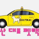 멍냥 펫택시 이미지
