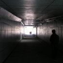 (마)강남스토리 이미지