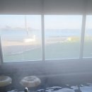 포항더엘리트독채키즈풀빌라 이미지