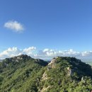 고양이천국 이미지