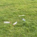 김간지 | 🇮🇪Ep 05. W3 목적을 두지 않는 삶(feat.허키,김간지)｜PPSN 완료, 도서관 투어, 언어 교환 밋업, 마라탕