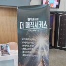 조이드림 | 더매직서커스 서커스부부 대전공연 후기 (조이컬쳐 예매 할인 팁 알려드림)