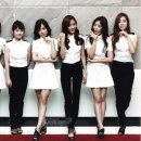 티아라 이미지