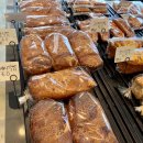 서귀포시청2청사 앞 이미지