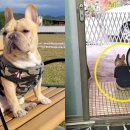 산책길에 이미지