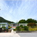 안일초등학교백야분교장 네이버블로그