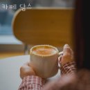 원삼면 | 용인 원삼면 카페 카페 담스 업체 정보 후기