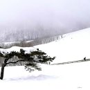 강릉목장 이미지