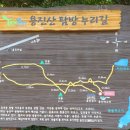 영광센터-7호 이미지