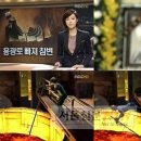광온 이미지