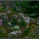 인삼전시관 이미지