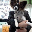 보라종합동물병원 이미지