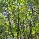 군자성황사지 이미지