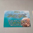 또바기 수구레 | 아산또바기수구레/아산배방역맛집/아산수구레 방문후기