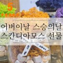 공기정화 편백 큐브 스칸디아 모스 미니화분 | 어버이날 스승의날 선물 추천 스칸디아모스 화분