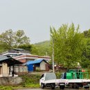 충북 청주 가볼만한곳 등나무꽃 명소 TOP 4