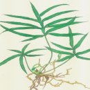 여주산림박물관 이미지