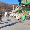 근암농장 Daum카페