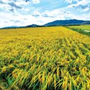 샘물카페 이미지