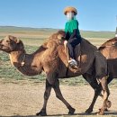 평원약국 | Mongolian Dream