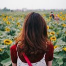 심리상담사 2급 이미지