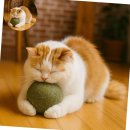 (주)리빙홀릭 이미지