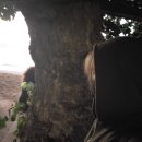 U-BIKE | [가천대 하와이 엘리트 코스] 3주차 🌴#단기어학연수 #후기 #꿀팁 #마무리