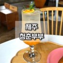 청춘부부 제주 <b>청춘</b><b>부부</b> 데이식스 카페 내돈내산 추천