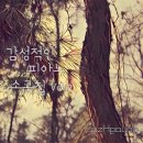 praise suite 이미지