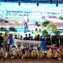 왕조초등학교 이미지