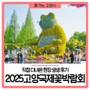 국제꽃식물원 | 직접 다녀온 🌹2025고양국제꽃박람회🌹 현장 생생 후기