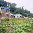 화순고인돌전통시장(읍사무소) 이미지