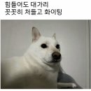 킁킁